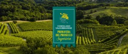 attivita primavera prosecco superiore